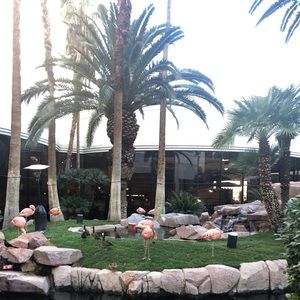 Meet your Posher, Tamron